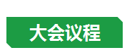 大会议程