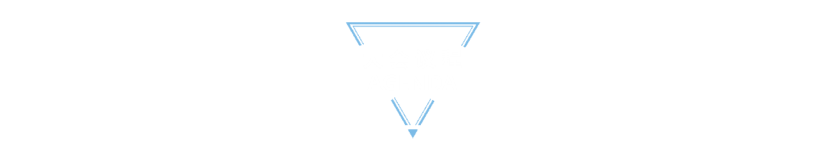 大会议程