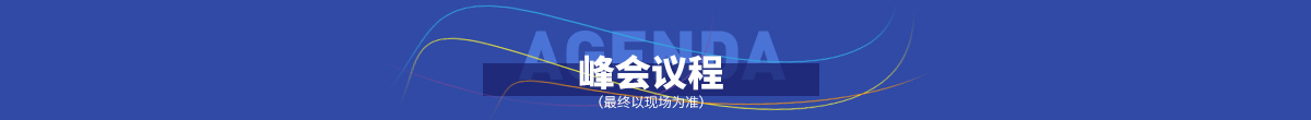 大会议程