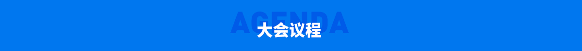 大会议程