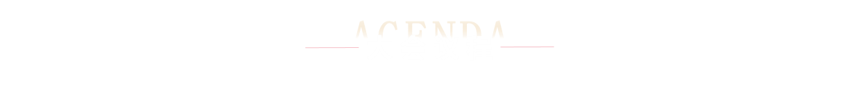 大会议程