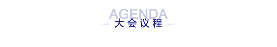 大会议程