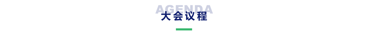 大会议程