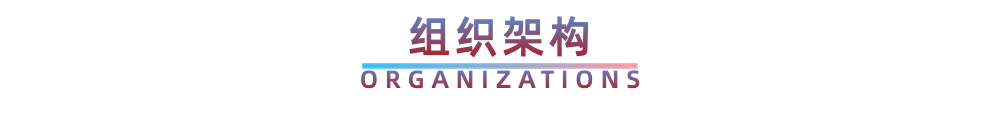 组织架构