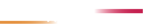 大会议程
