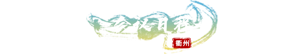 大会议程