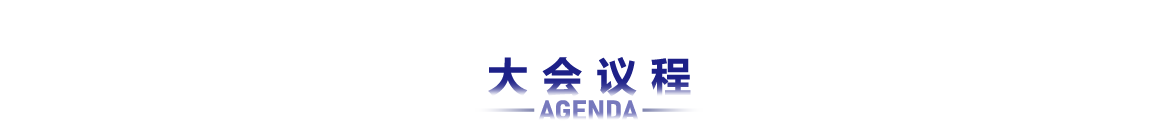 大会议程