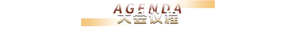 大会议程